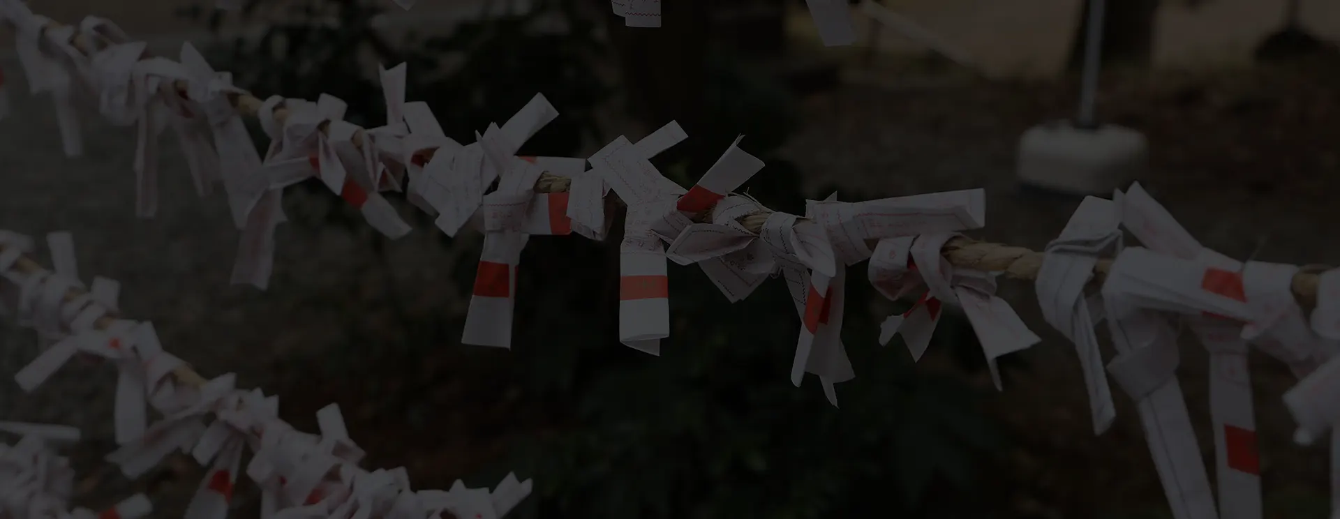 Omikuji ou le tirage de la bonne fortune